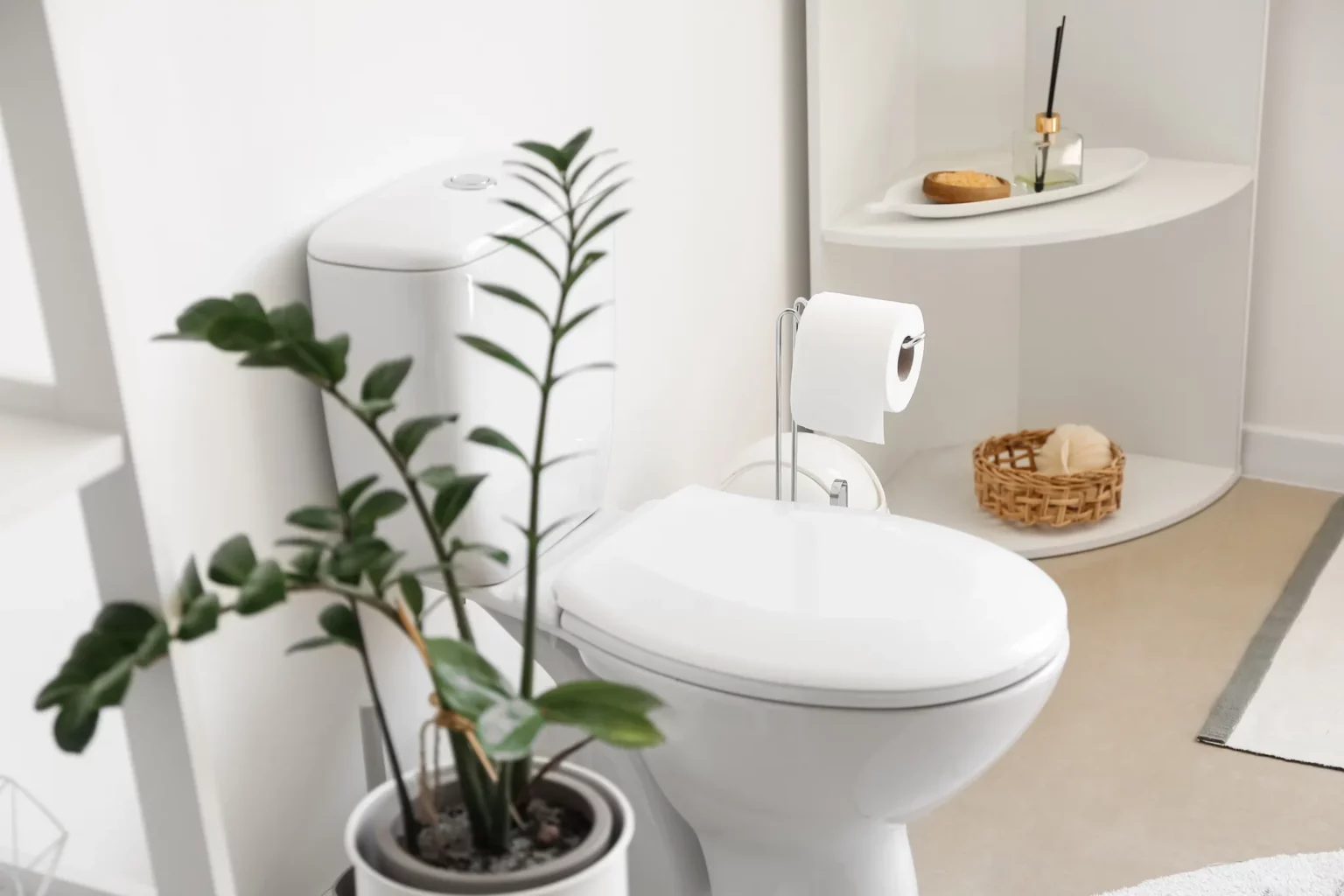 Toilettes