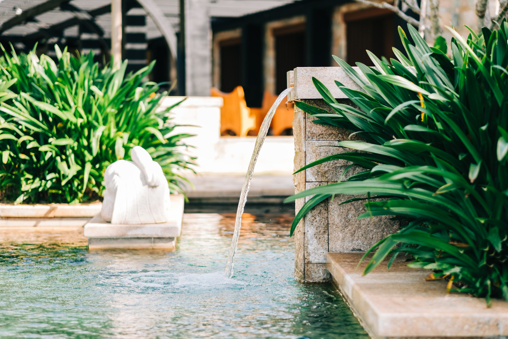 La tendance des piscines naturelles