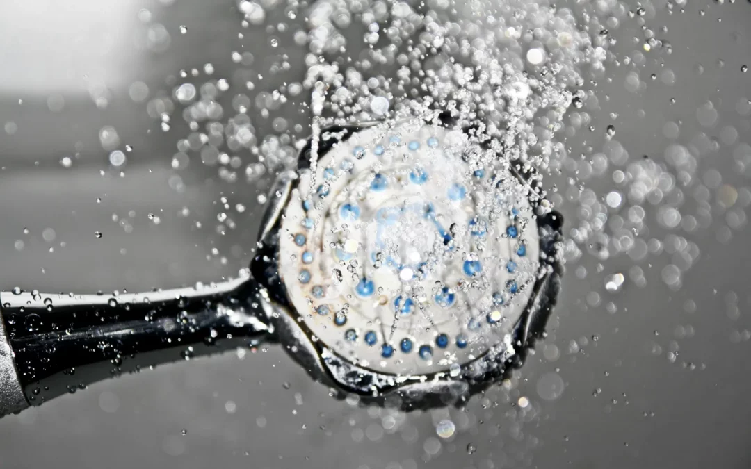 Pomme de douche